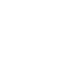 new bronco logo